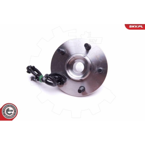 ESEN SKV Radlagersatz