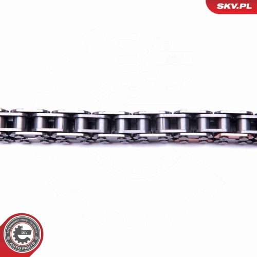 ESEN SKV Steuerkettensatz