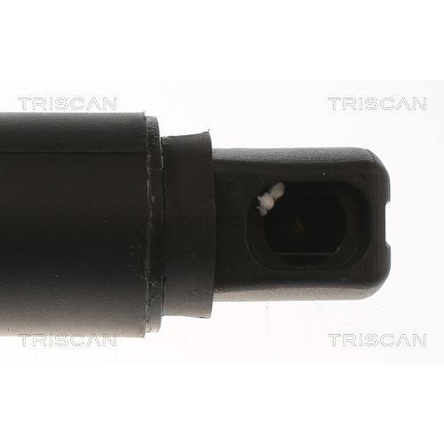 TRISCAN Gasfeder, Koffer-/Laderaum