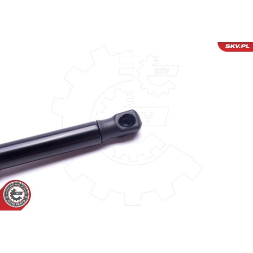 ESEN SKV Gasfeder, Koffer-/Laderaum