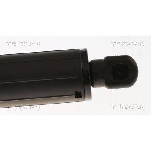 TRISCAN Gasfeder, Koffer-/Laderaum