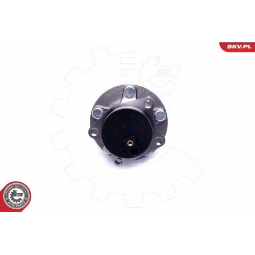 ESEN SKV Radlagersatz