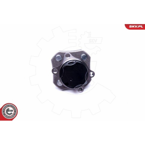 ESEN SKV Radlagersatz