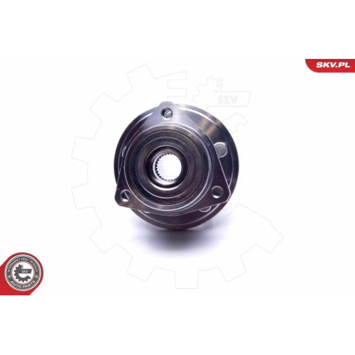 ESEN SKV Radlagersatz