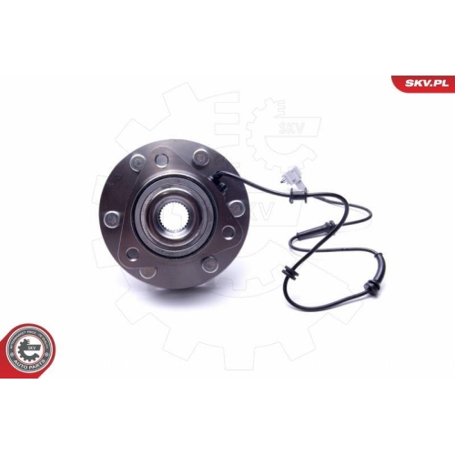 ESEN SKV Radlagersatz