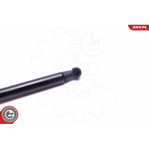 ESEN SKV Gasfeder, Koffer-/Laderaum