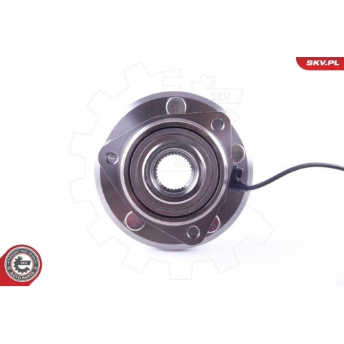 ESEN SKV Radlagersatz