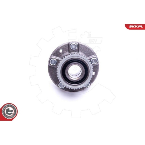 ESEN SKV Radlagersatz
