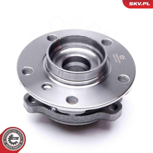 ESEN SKV Radlagersatz