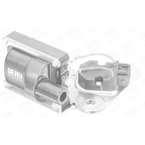 BorgWarner (BERU) Zündspule