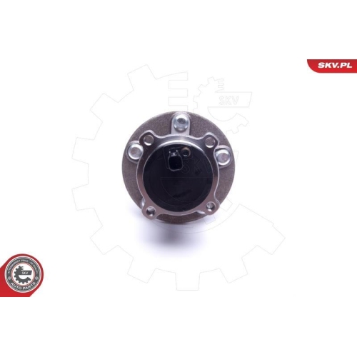 ESEN SKV Radlagersatz