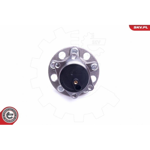 ESEN SKV Radlagersatz