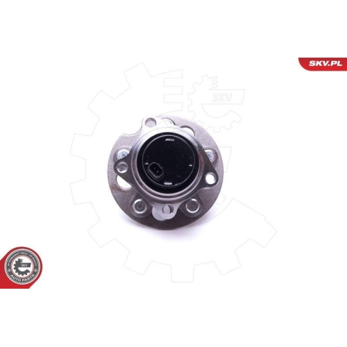 ESEN SKV Radlagersatz