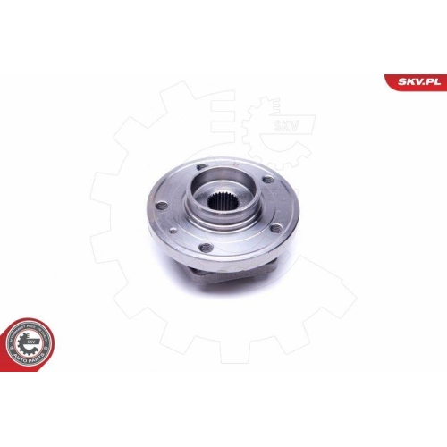 ESEN SKV Radlagersatz