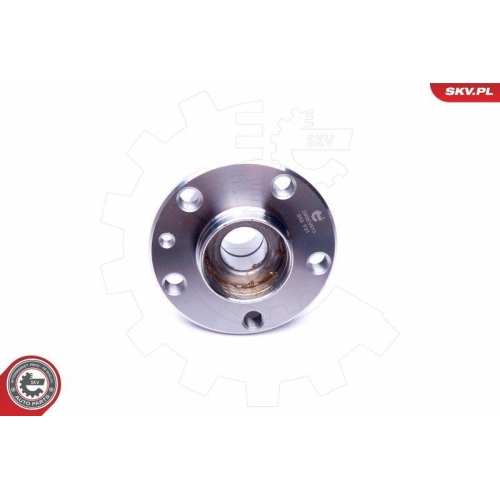 ESEN SKV Radlagersatz