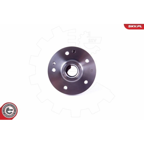 ESEN SKV Radlagersatz