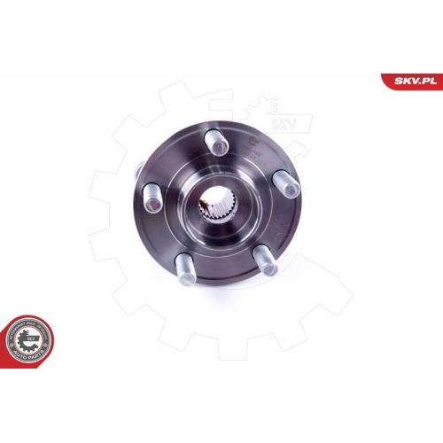 ESEN SKV Radlagersatz