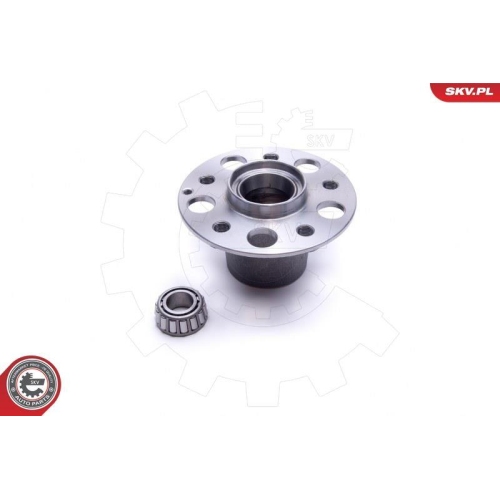 ESEN SKV Radlagersatz