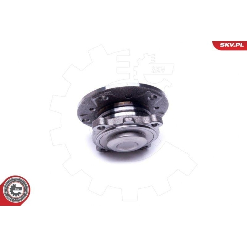 ESEN SKV Radlagersatz