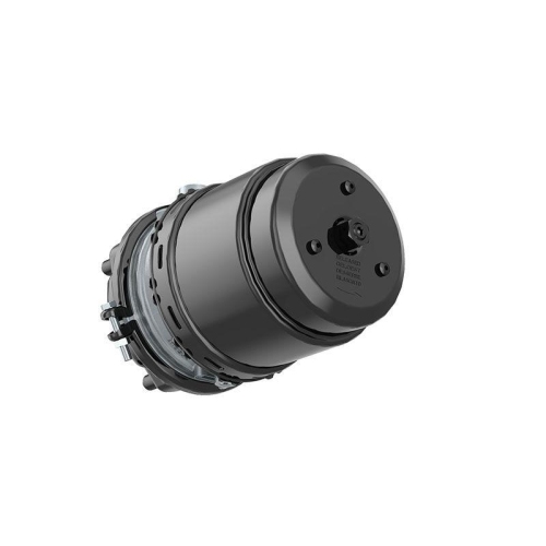 WABCO Kombibremszylinder