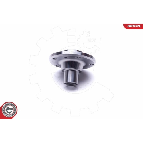 ESEN SKV Radlagersatz