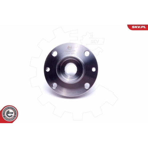 ESEN SKV Radlagersatz