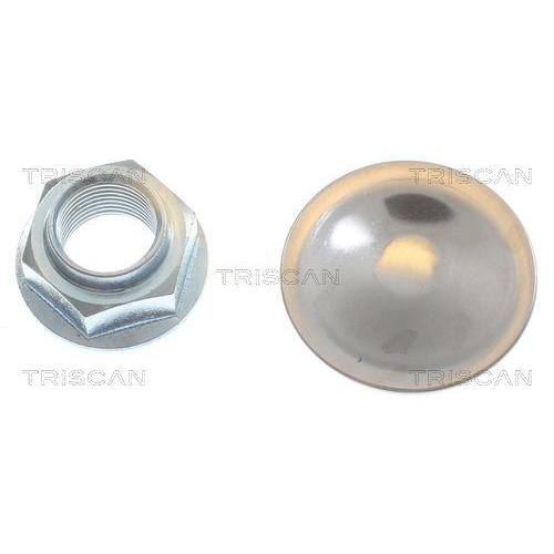 TRISCAN Bremsscheibe