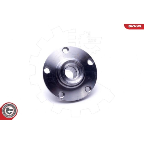 ESEN SKV Radlagersatz