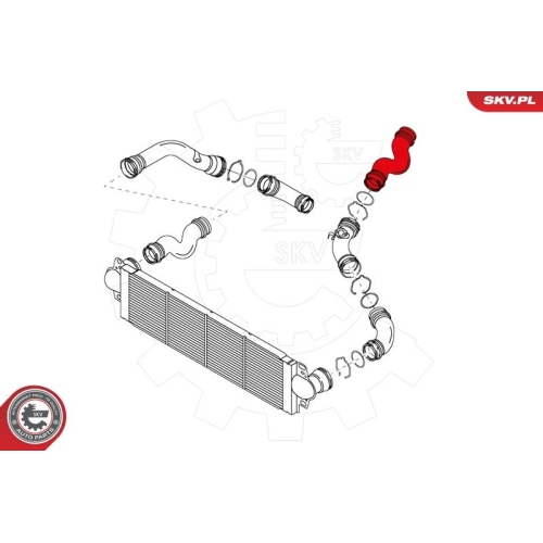 ESEN SKV Ladeluftschlauch