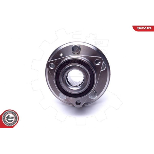 ESEN SKV Radlagersatz