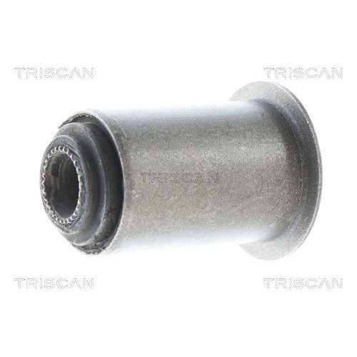 TRISCAN Lagerung, Lenker