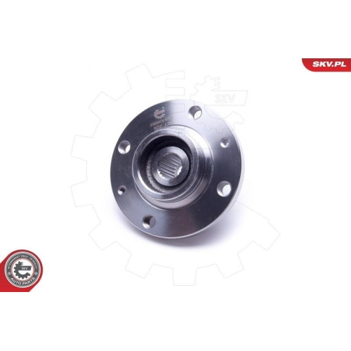 ESEN SKV Radlagersatz