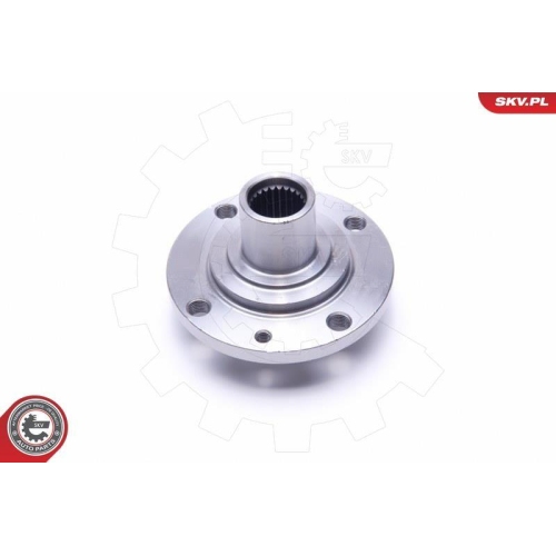 ESEN SKV Radlagersatz