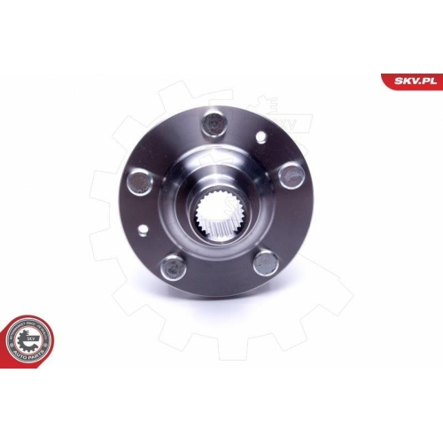 ESEN SKV Radlagersatz