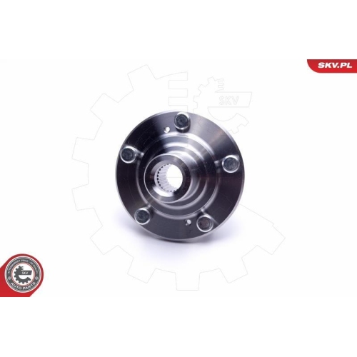 ESEN SKV Radlagersatz