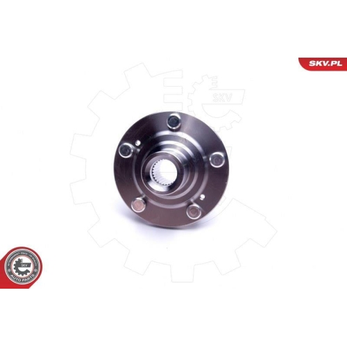 ESEN SKV Radlagersatz