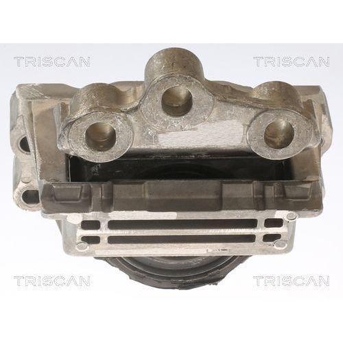 TRISCAN Lagerung, Motor