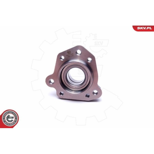 ESEN SKV Radlagersatz