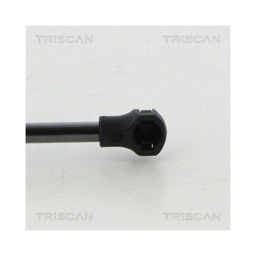 TRISCAN Gasfeder, Motorhaube