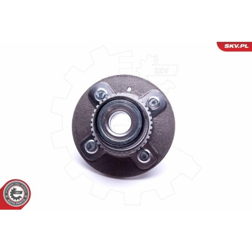 ESEN SKV Radlagersatz