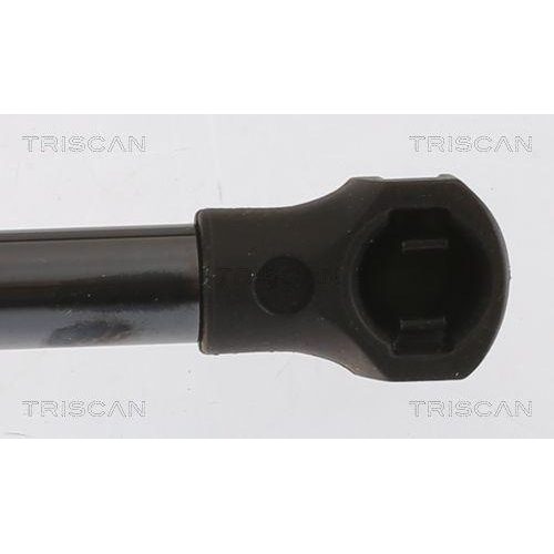 TRISCAN Gasfeder, Motorhaube