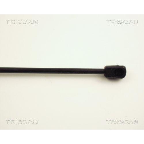 TRISCAN Gasfeder, Koffer-/Laderaum