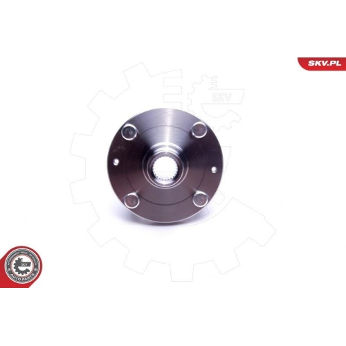 ESEN SKV Radlagersatz