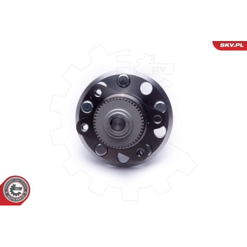 ESEN SKV Radlagersatz