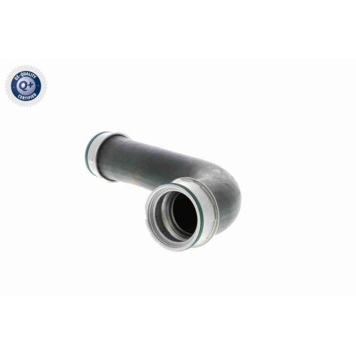 VAICO Ladeluftschlauch Q+, Erstausr&uuml;sterqualit&auml;t