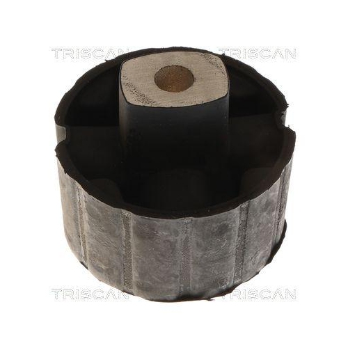 TRISCAN Lagerung, Lenker