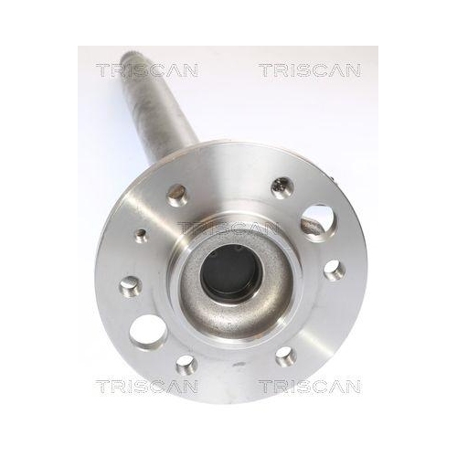 TRISCAN Radlagersatz