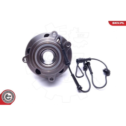 ESEN SKV Radlagersatz