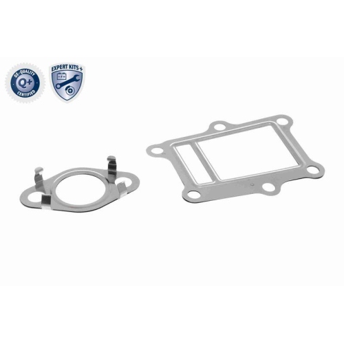 ACKOJA AGR-Ventil EXPERT KITS +