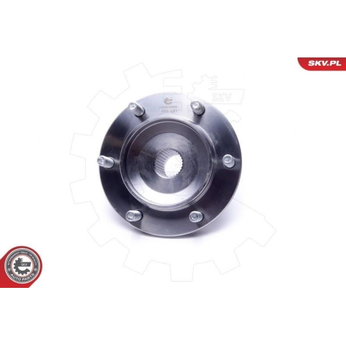 ESEN SKV Radlagersatz
